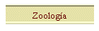 Zoologa